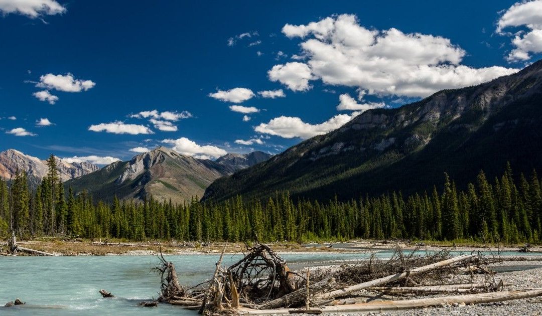 OPINION: It’s time to rethink B.C.’s flawed short-term rental policy OPINION: It’s time to rethink B.C.’s flawed short-term rental policy