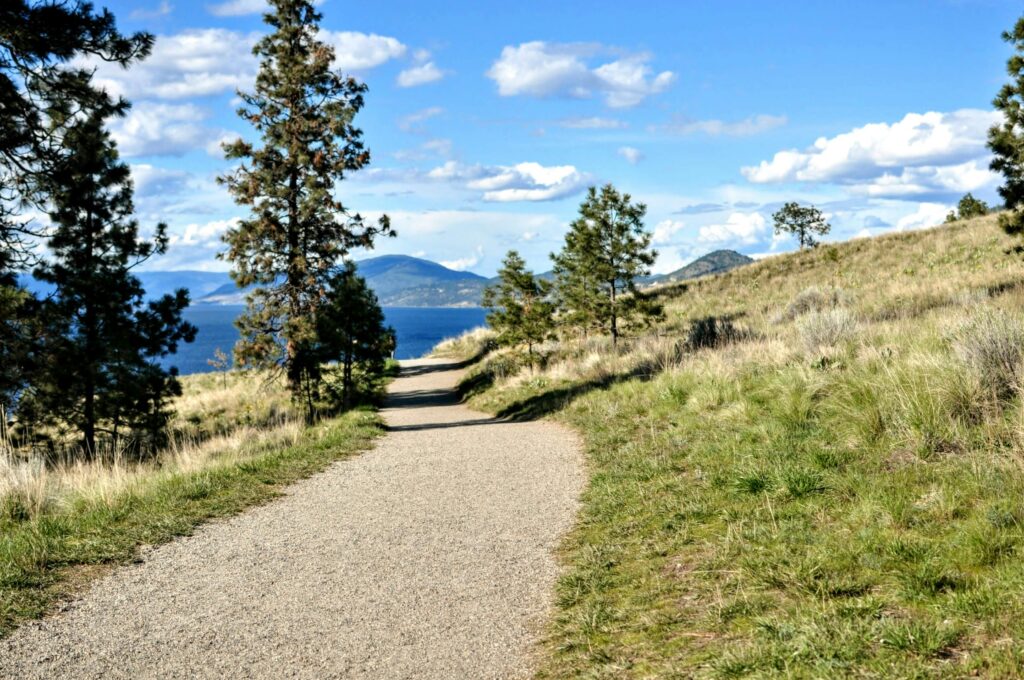 Steady Momentum for Local Residential Real Estate Market