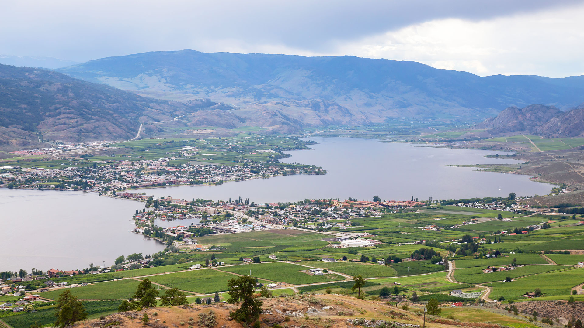 Interior housing market not showing volatility of other B.C. regions